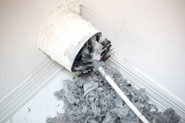 Best Best Air Duct Cleaning Company  in Highland Lakes, AL