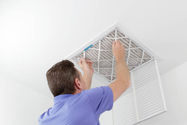 Best Air Duct Mold Removal  in Highland Lakes, AL